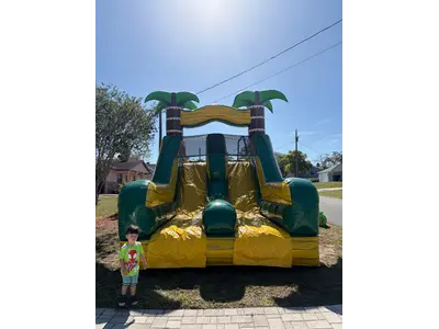 bounce tropical in Springhills