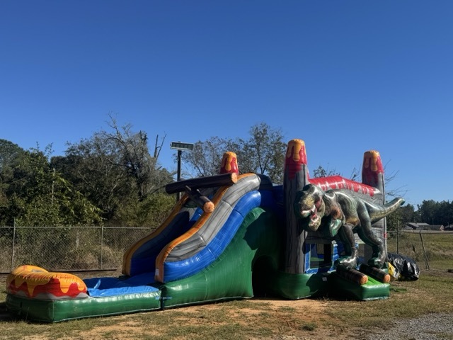 T-Rex Dinosaur Wet / Dry Combo