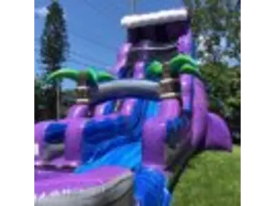 22' Purple Tsunami Waterslide #216P in winter garden