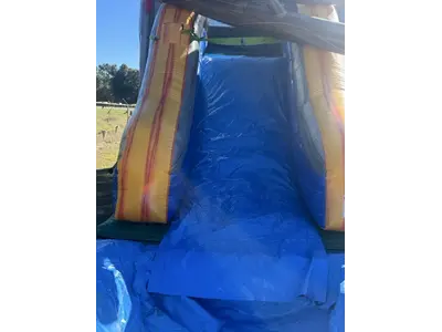 T-Rex Dinosaur Wet / Dry Combo