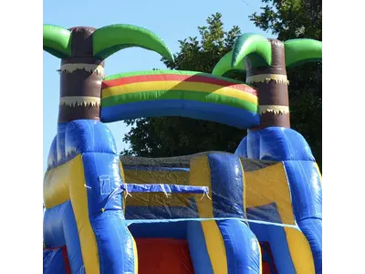 15ft Ocean Shark Water Slide in Fresno