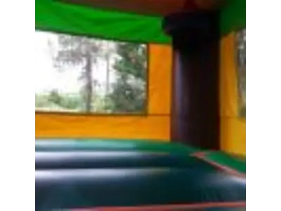 Tropical Combo with Slide #256D in winter garden