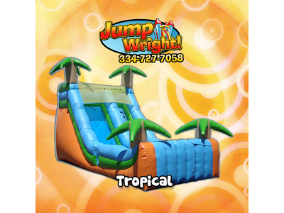 16' Tropical Slide