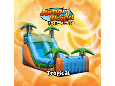 16' Tropical Slide