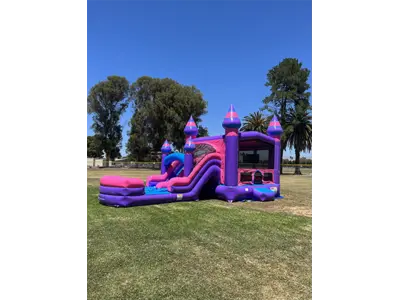 Purplish Dual Lane Combo Wet/Dry in Fresno