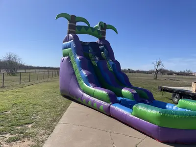 Purple Tropical in Wichita Falls