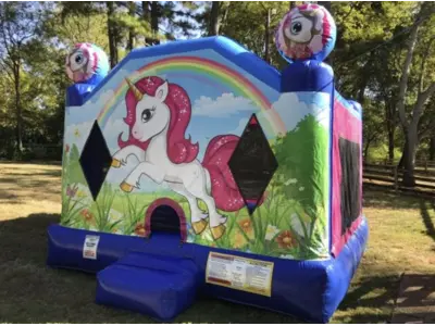 XL Unicorn in Madison Heights