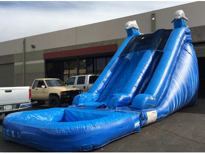 20ft Dolphins  Water Slide