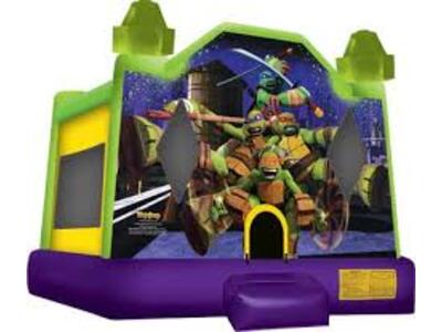 Ninja Turtles
