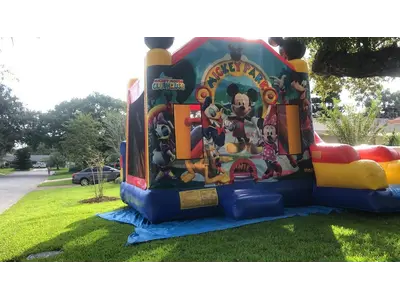 Mickey Park Combo #136 in Windermere