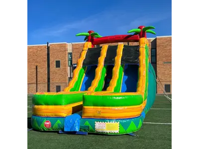 Palm Tree Slide Wet n Dry in Warren