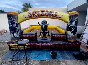 Mechanical Bull