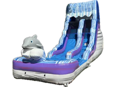 Slipper in Wichita Falls