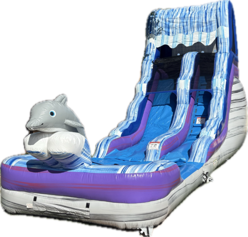 Slipper in Wichita Falls