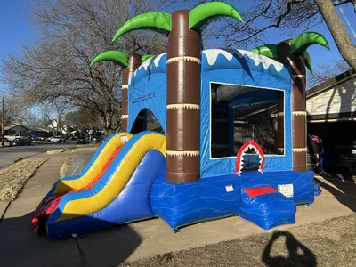 Shark Attack in Wichita Falls
