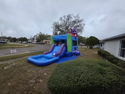 Octopus Combo slide and bouncer