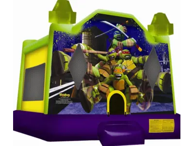 Ninja Turtles in Madison Heights