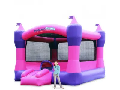 Princess Castle in Madison Heights