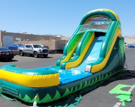 Small Tropical 🌴 Slide in Dennisville