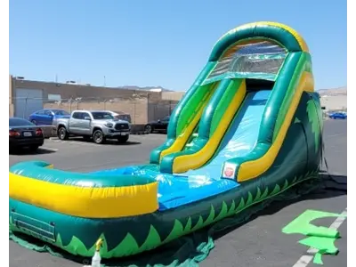 Small Tropical 🌴 Slide in Dennisville