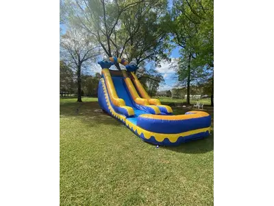 Dolphin Slide