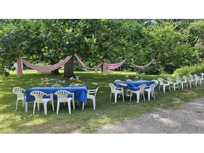 Elegant Pink Tent Drapes in Casco