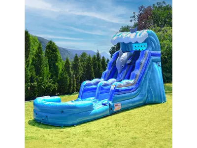 15ft Dolphin Slide in Richmond