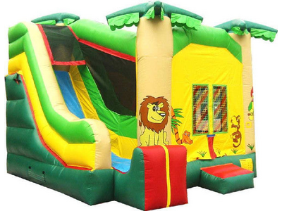 4 - 1 Jungle Combo with Slide (for ages 7 & under)