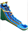 Jungle Jaguar Water Slide