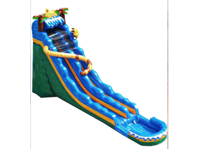 Jungle Jaguar Water Slide