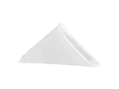 Accordion Crinkle Taffeta Napkin 20"x20" - White