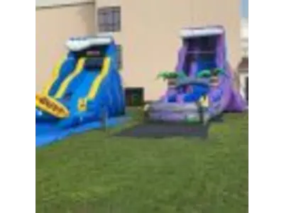 22' Purple Tsunami Waterslide #216P in winter garden