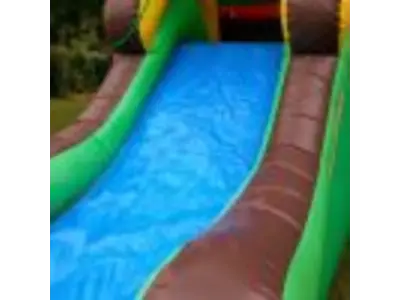 Tropical Bounce House Combo #256W in winter garden