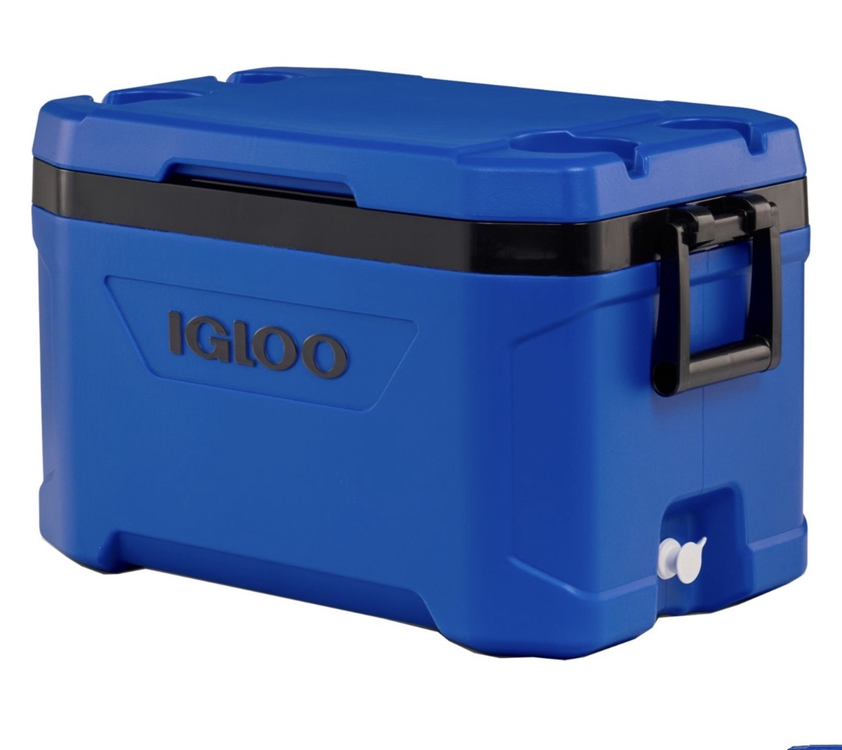 Blue Igloo Coolers in Richmond