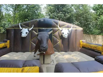 Mechanical Bull