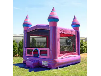 NEW Purple and pink Bounce House in NRH