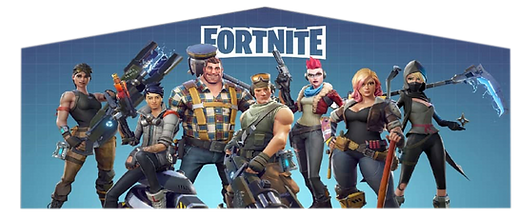 Fortnite Panel in Kitchener