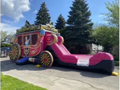 Princess Carriage in Madison Heights