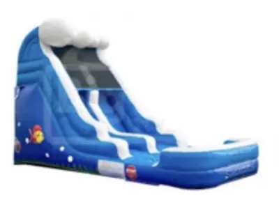 Blue Wave Water Slide in Stapleton