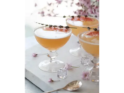Social Mixology Experience (Per Guest) in Haverhill