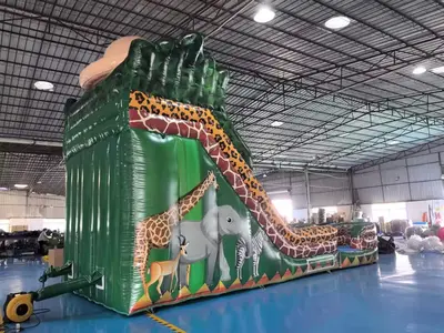 Wild Slide in Wichita Falls