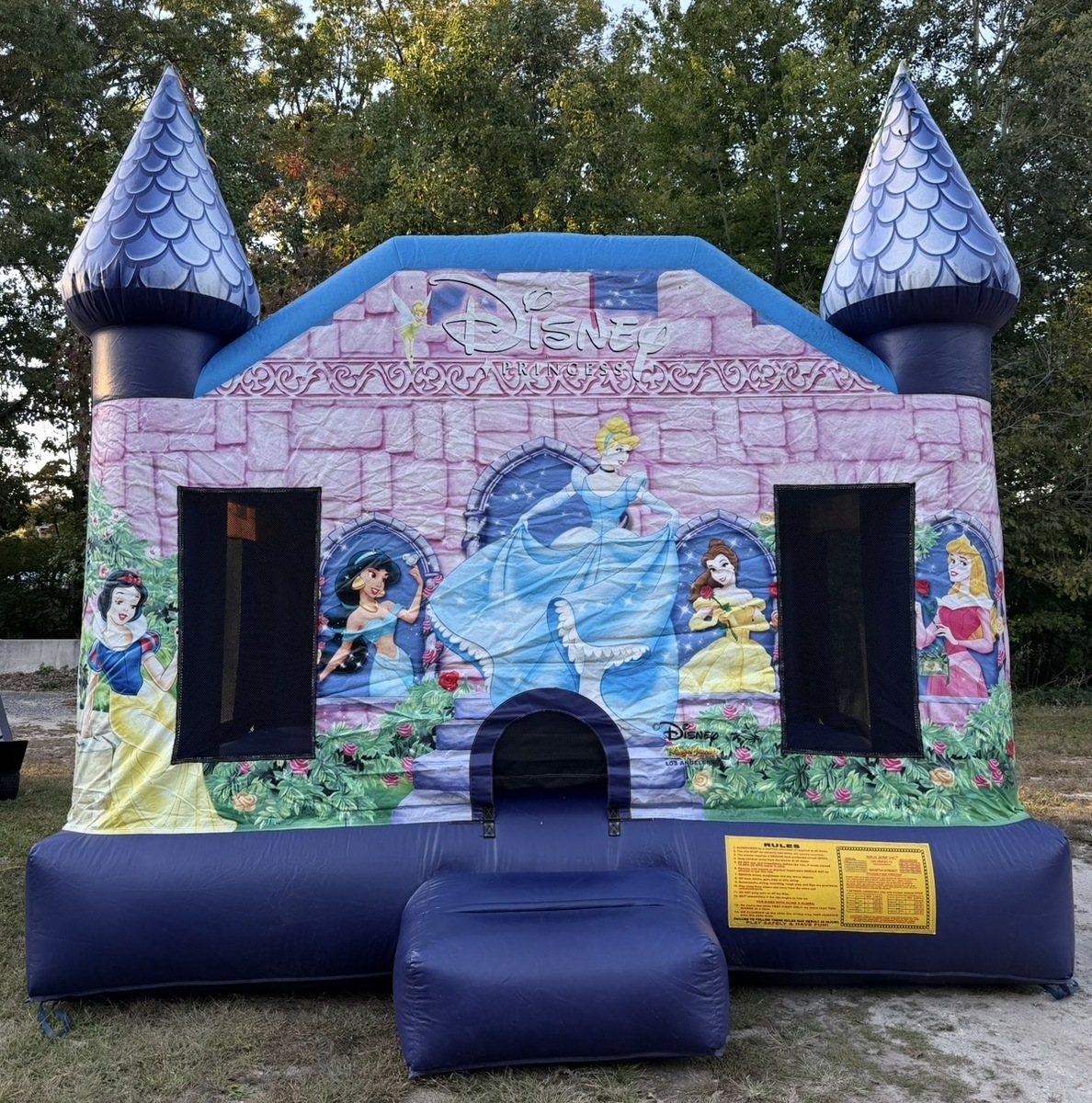 Princess Castle in Sewell