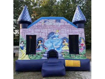 Princess Castle in Sewell