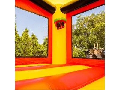 Ninja Warrior Bouncer
