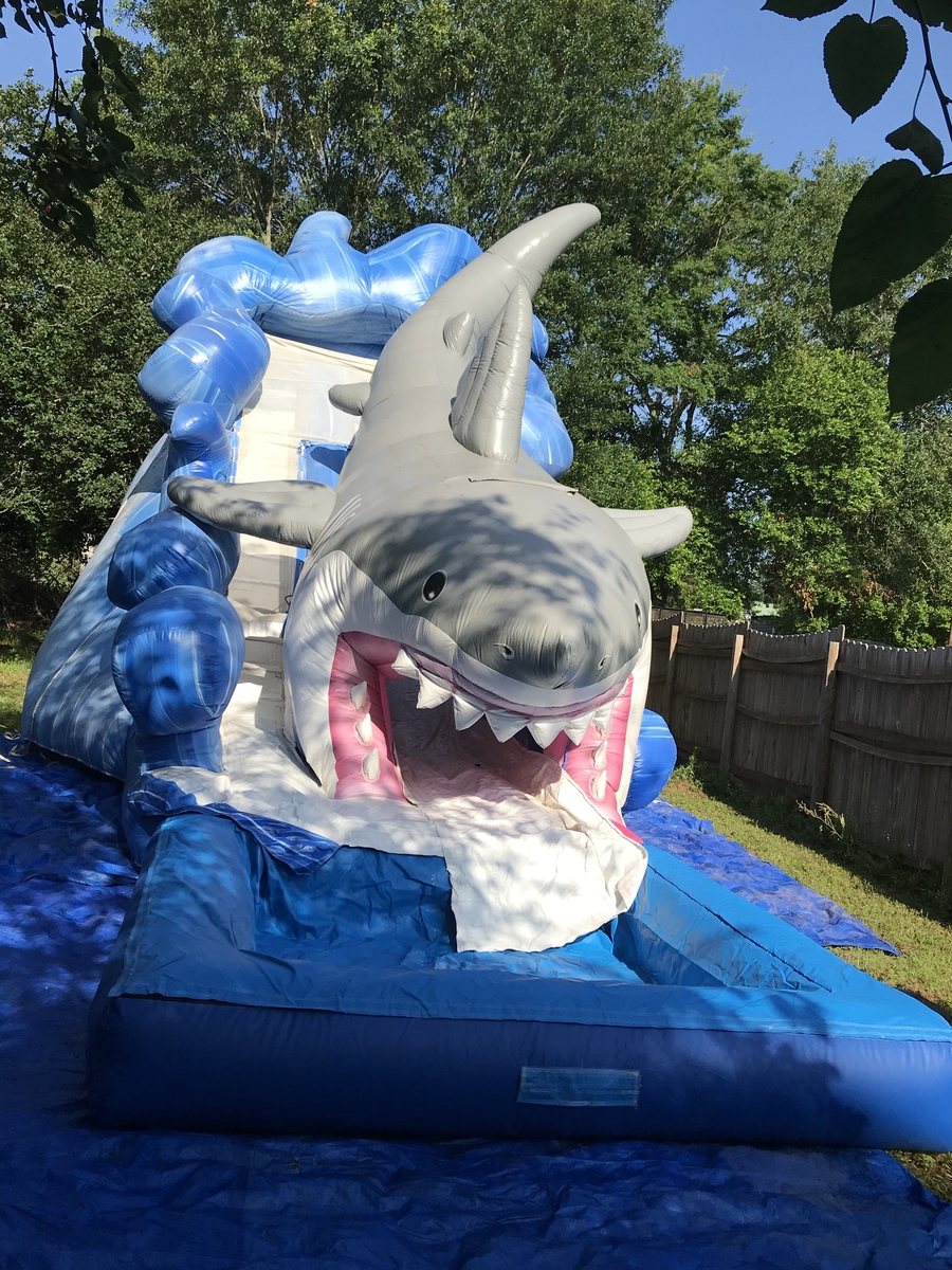Shark Waterslide in  Crockett
