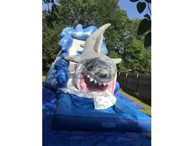 Shark Waterslide in  Crockett