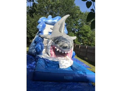 Shark Waterslide