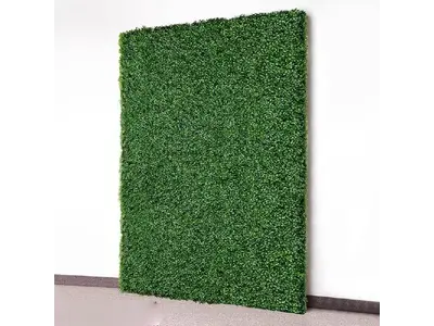 BOXWOOD HEDGE BACKDROP