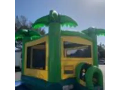 Tropical Bounce House #306 in dr phillips