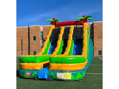 Palm Tree Slide Wet n Dry